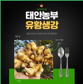조한솔님의 작성글 사진
