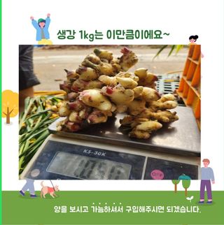 조한솔님의 작성글 사진