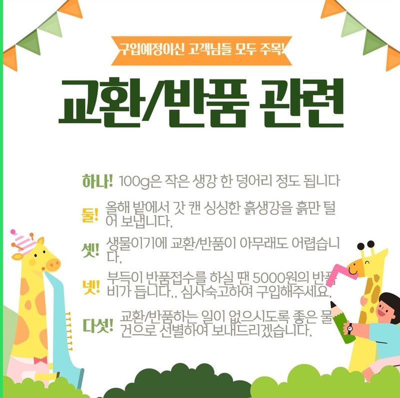 조한솔님의 장터 판매 상품 [[김장할인] 태안반도 해풍 맞은 유황생강 1kg] 첨부 사진