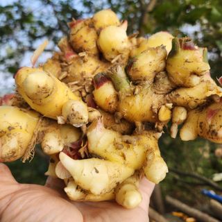 조한솔님의 자유주제 · 자유게시판 작성글 사진