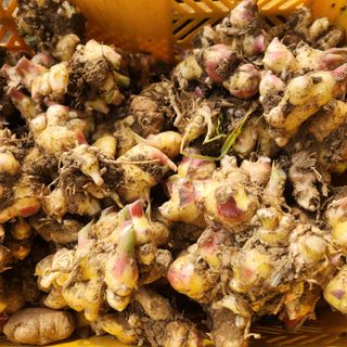 조한솔님의 자유주제 · 자유게시판 작성글 사진