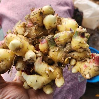 조한솔님의 자유주제 · 자유게시판 작성글 사진