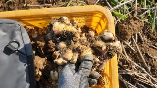 조한솔님의 자유주제 · 자유게시판 작성글 사진