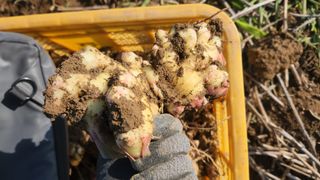 조한솔님의 자유주제 · 자유게시판 작성글 사진