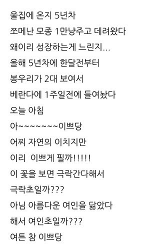 삼성농산님의 자유주제 · 자유게시판 작성글 사진