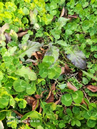 손영민님의 작성글 사진