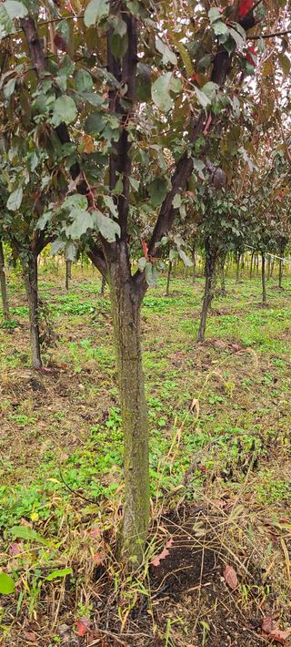 조성돈님의 자유주제 · 자유게시판 작성글 사진