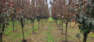 조성돈님의 자유주제 · 자유게시판 작성글 사진