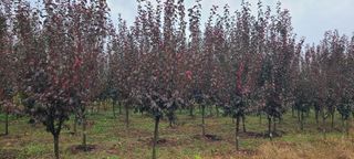 조성돈님의 자유주제 · 자유게시판 작성글 사진