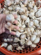 팜모닝 자유주제·자유게시판 게시글 이미지