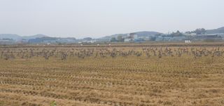 이흥옥님의 자유주제 · 자유게시판 작성글 사진