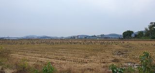 이흥옥님의 자유주제 · 자유게시판 작성글 사진