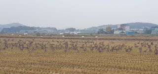 이흥옥님의 자유주제 · 자유게시판 작성글 사진