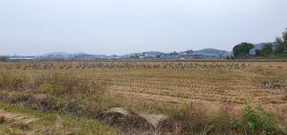 이흥옥님의 자유주제 · 자유게시판 작성글 사진