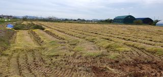 이흥옥님의 자유주제 · 자유게시판 작성글 사진