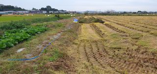 이흥옥님의 자유주제 · 자유게시판 작성글 사진