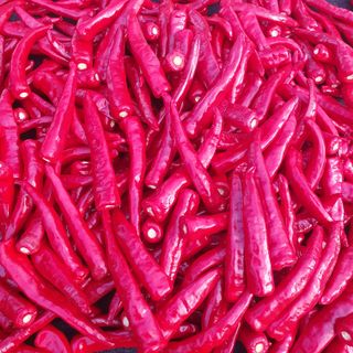 인생은 소풍처럼님의 자유주제 · 자유게시판 작성글 사진