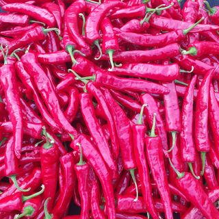 인생은 소풍처럼님의 자유주제 · 자유게시판 작성글 사진