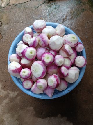 인생은 소풍처럼님의 자유주제 · 자유게시판 작성글 사진