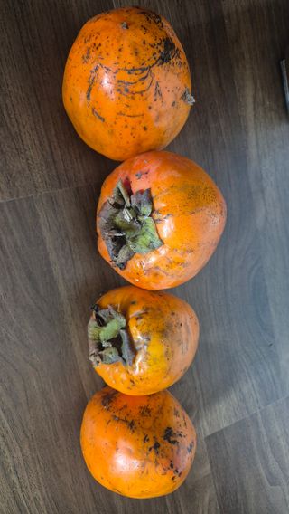 안중찬님의 감 · 영농일지 작성글 사진