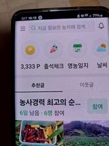 팜모닝 자유주제·자유게시판 게시글 이미지