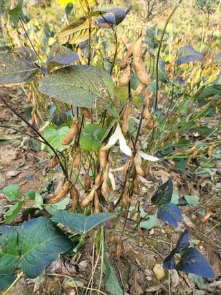 논산상월안정환님의 자유주제 · 자유게시판 작성글 사진