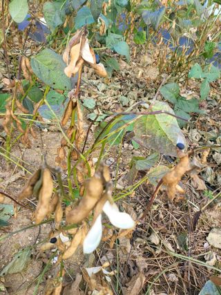 논산상월안정환님의 자유주제 · 자유게시판 작성글 사진