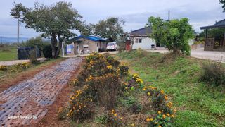 김동제님의 자유주제 · 자유게시판 작성글 사진