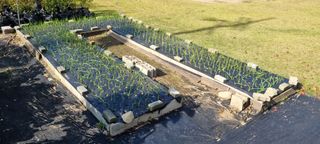 대파17853님의 마늘 · 영농일지 작성글 사진