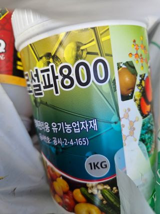 새달귤농장님의 귤 · 영농일지 작성글 사진