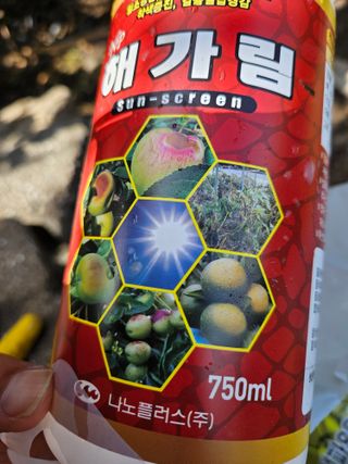 새달귤농장님의 귤 · 영농일지 작성글 사진