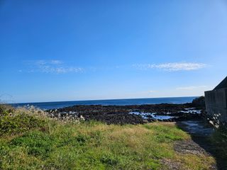 새달귤농장님의 귤 · 영농일지 작성글 사진