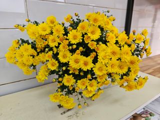 새달귤농장님의 귤 · 영농일지 작성글 사진