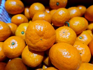 새달귤농장님의 농사경력 최고의 순간을 알려주세요. · 참여글 작성글 사진