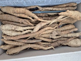 약초꾼님의 자유주제 · 건의해요 작성글 사진