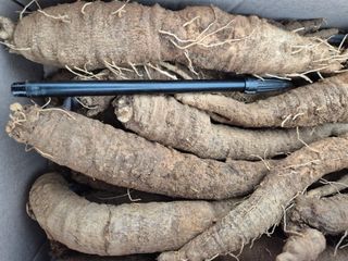 약초꾼님의 자유주제 · 건의해요 작성글 사진