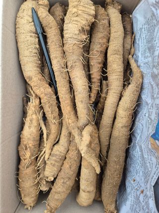 약초꾼님의 자유주제 · 건의해요 작성글 사진