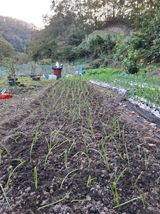 팜모닝 농사경력 최고의 순간을 알려주세요.·참여글 게시글 이미지