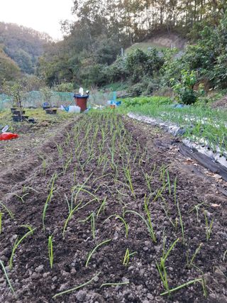 박정미님의 농사경력 최고의 순간을 알려주세요. · 참여글 작성글 사진