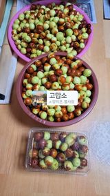 팜모닝 배추·영농일지 게시글 이미지