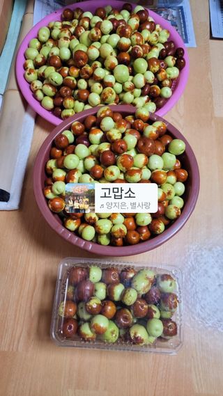 들미기농장님의 배추 · 영농일지 작성글 사진