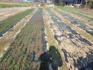 남궁. 정님의 자유주제 · 자유게시판 작성글 사진