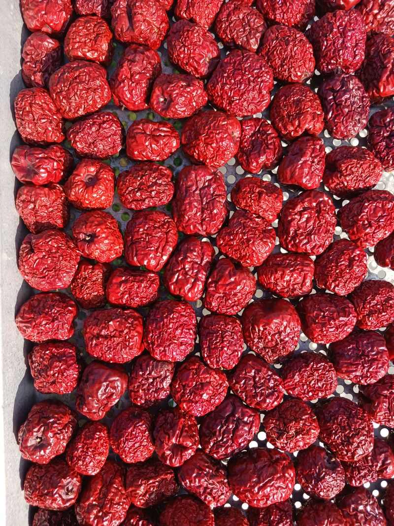 정원대추농원님의 장터 판매 상품 [명품 건대추(금년수확품) 500g,1Kg.] 첨부 사진