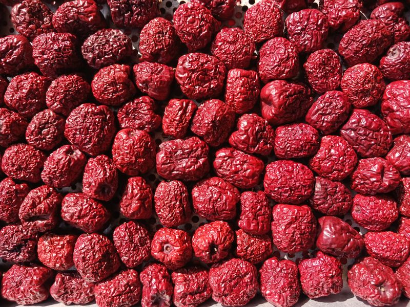 정원대추농원님의 장터 판매 상품 [명품 건대추(금년수확품) 500g,1Kg.] 첨부 사진