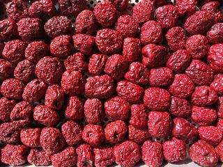 정원대추농원님의 작성글 사진