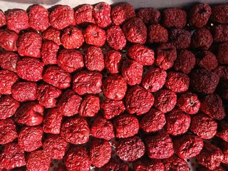 정원대추농원님의 작성글 사진