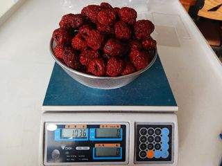 정원대추농원님의 작성글 사진