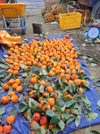 장세만 님의 작성글 사진