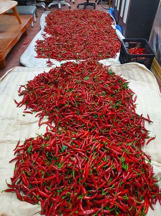 김권수님의 팜모닝 · 출석 작성글 사진