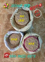 팜모닝 · 게시글 이미지